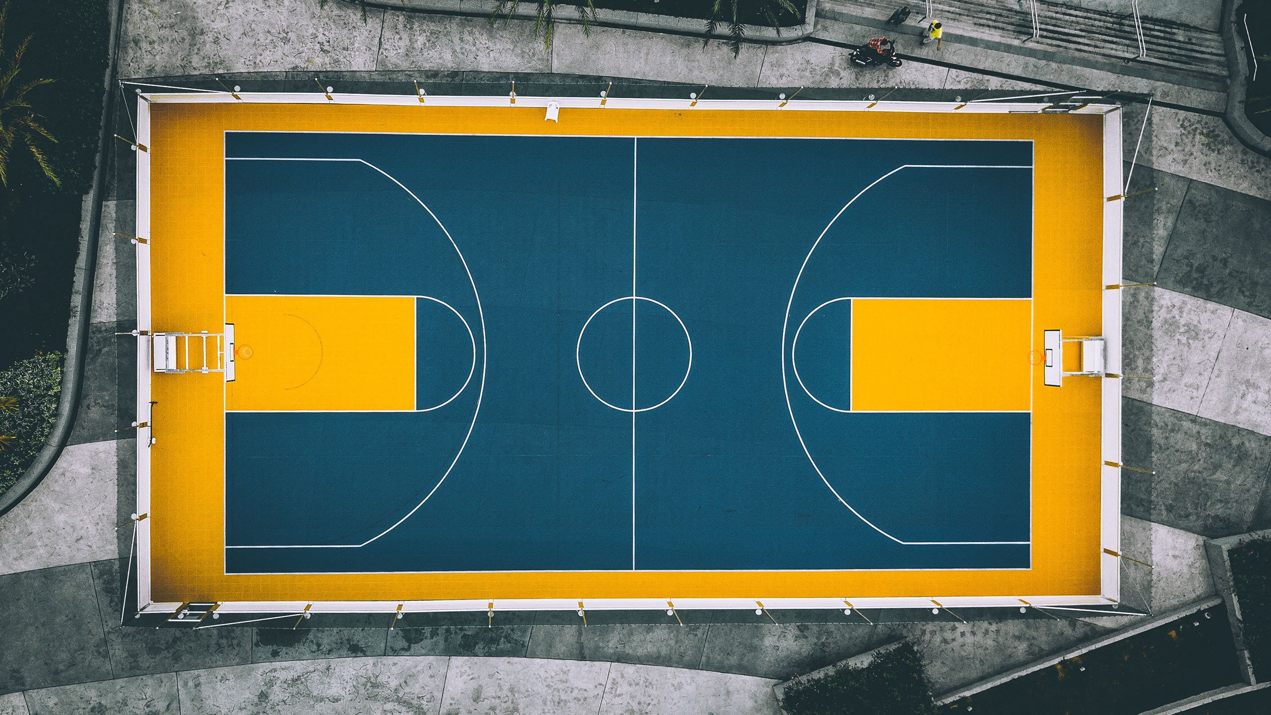 科维托娃跨界NBA？悬念终揭晓